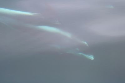 Low angle view of sea against sky