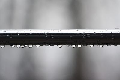 Close-up of wet metallic railing