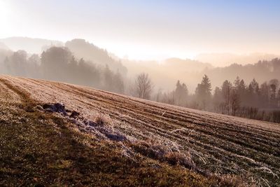 Scenic view of field against sky