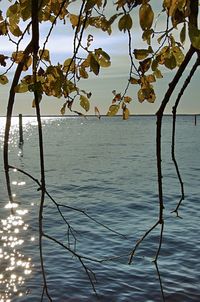 Scenic view of lake