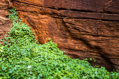High angle view of rock formations
