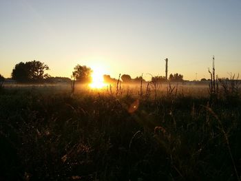 Scenic view of field against sky during sunset