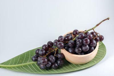 Close-up of grapes in container against white background