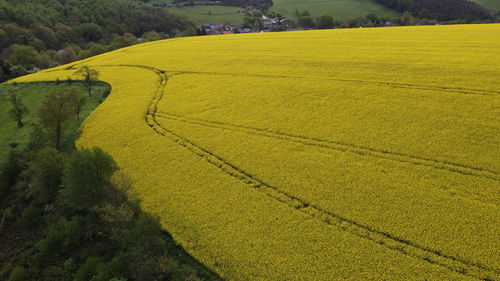 High angle view of field