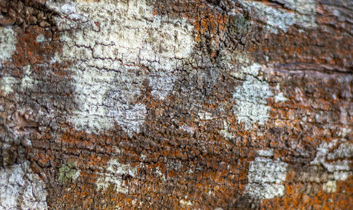 Full frame shot of weathered wall