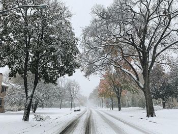 Road amidst trees during winter