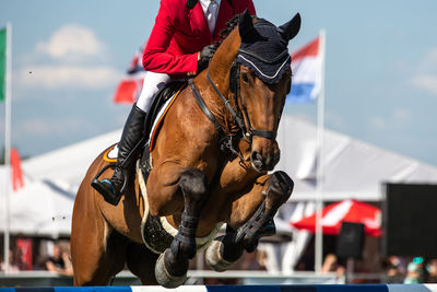 Close-up of horse riding