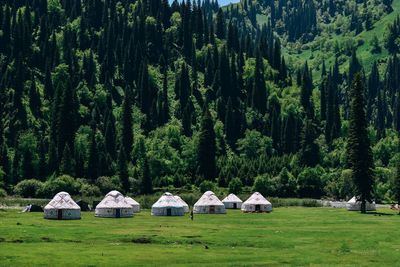 A few kazakh yurts in bayinbulak swan lake reserve, xinjiang