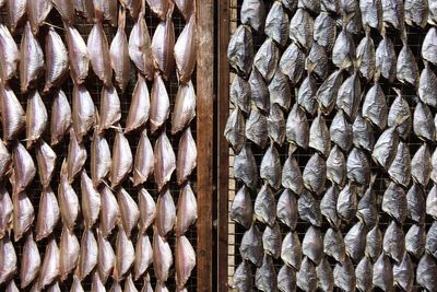 Full frame shot of fish for sale in market