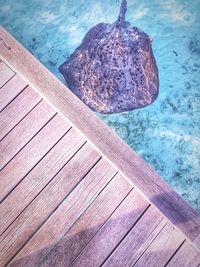 High angle view of swimming pool by sea