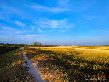 Scenic view of field against sky