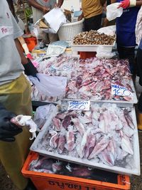 High angle view of fish for sale at market stall