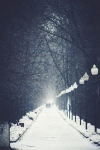 Snow covered trees against sky at night