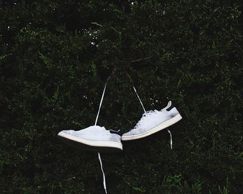 Close-up of shoes on grass by water