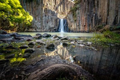 Scenic view of waterfall in forest