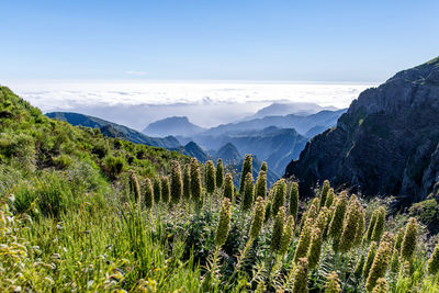 Scenic view of mountains against sky