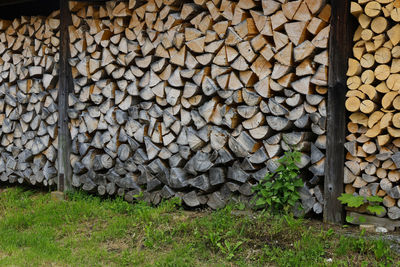 firewood