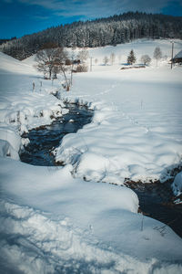 Scenic view of snow covered field and trees during winter