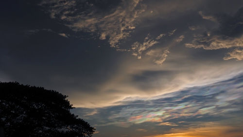 Low angle view of silhouette trees against sky during sunset