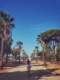 Rear view of man walking on palm trees against blue sky