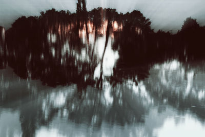 Reflection of trees in water