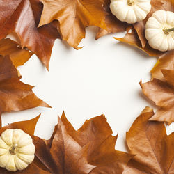 High angle view of dried leaves on table