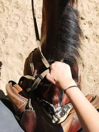 Midsection of man with horse in sand