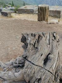 High angle view of driftwood on sand