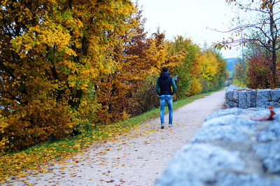 Rear view of man walking amidst trees during autumn