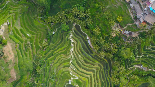 High angle view of rocky mountains,,green farmer