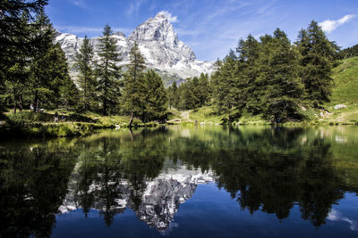 Reflection of trees in lake against sky