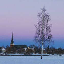 Bare trees on snow covered landscape against clear sky