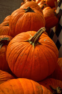 Closeup of orange pumpkins in rows on hay bales outdoors in autumn 