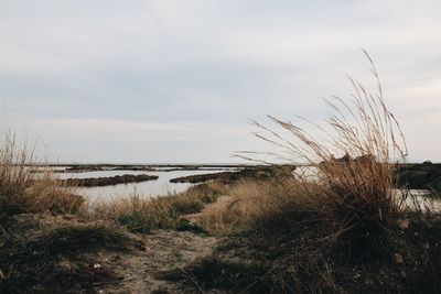 Scenic view of sea against cloudy sky