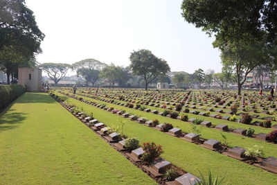 Scenic view of field against clear sky