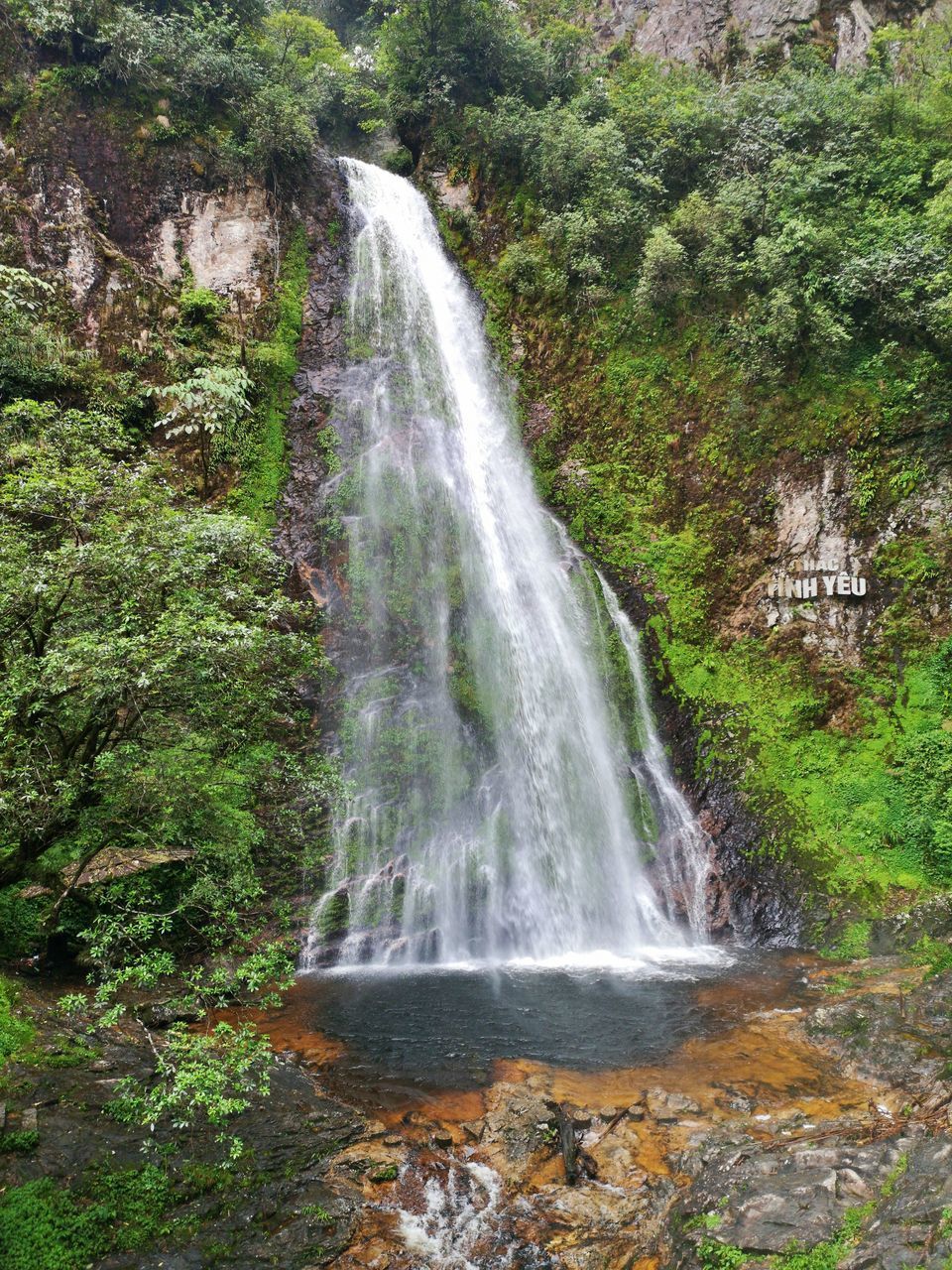 WATERFALL IN FOREST