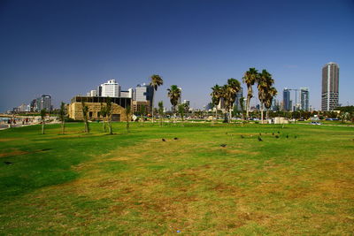 View of golf course against sky