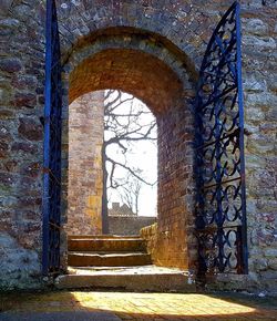 Window in sunlight