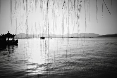 water