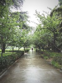 People walking on footpath