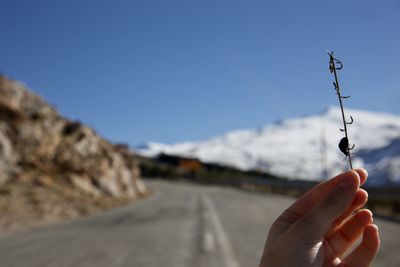 Close-up of hand holding stick against sky