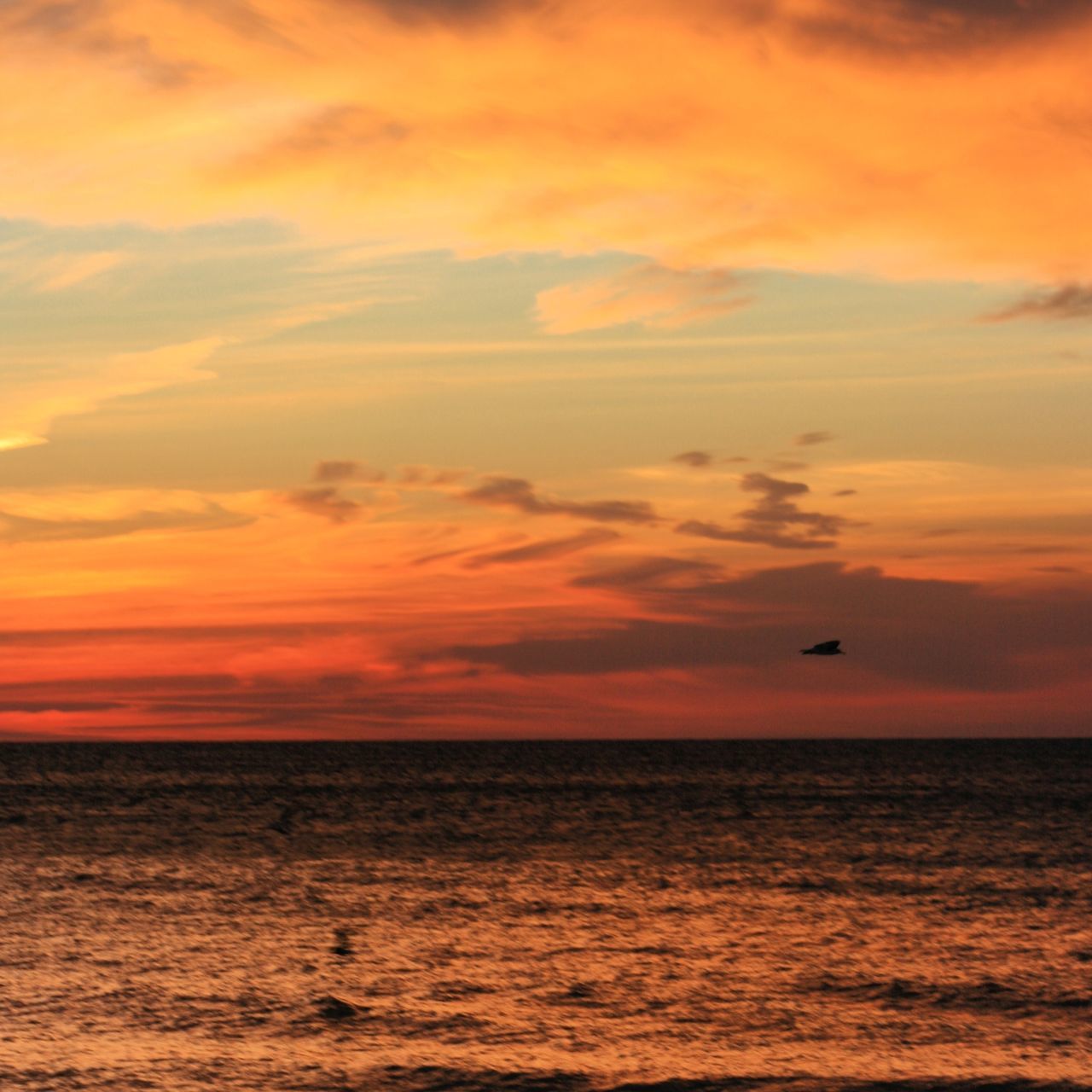 sunset, sea, horizon over water, orange color, water, scenics, sky, beauty in nature, waterfront, tranquil scene, tranquility, idyllic, cloud - sky, nature, cloud, rippled, seascape, dramatic sky, outdoors, sun