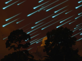 Low angle view of illuminated trees against sky at night
