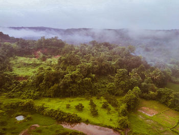 High angle view of trees on landscape