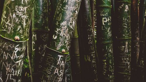 Close-up of bamboo structure