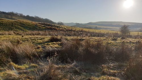 Scenic view of field against sky
