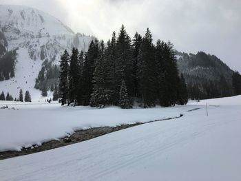 Snow covered land and trees against sky