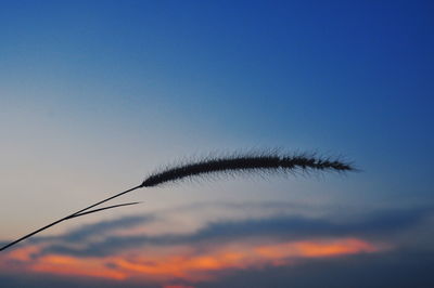 Low angle view of blue sky during sunset