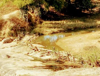 Scenic view of water