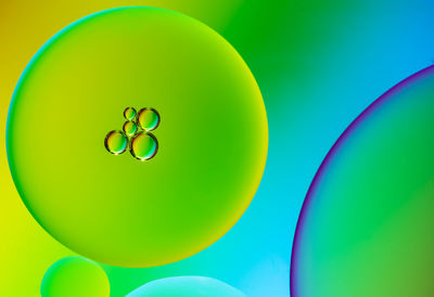 Close-up of multi colored balloons